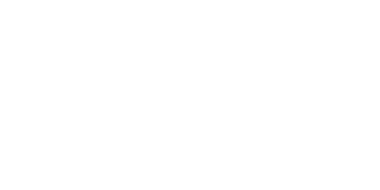ProVention Health Foundation Logo