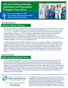 Screenshot of first page of Chronic Kidney Disease Detection and Education Program Case Story: Key Learnings for CDC 2320 Recipients.