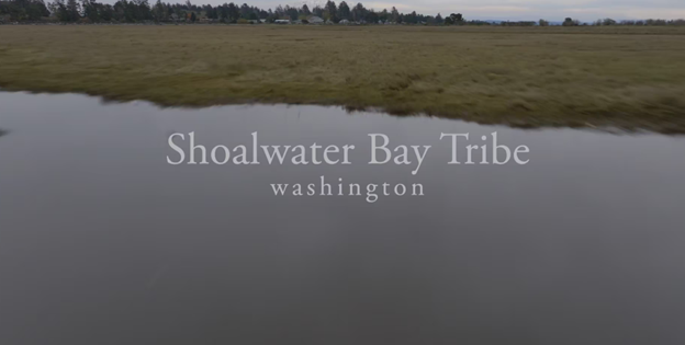 Shoalwater Bay Tribe