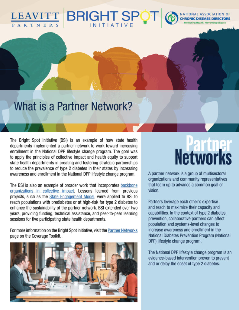 Cover page of "What is a Partner Network?" fact sheet. Graphic of multicolored shadows of overlapping heads.