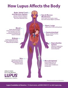 Image of the human body